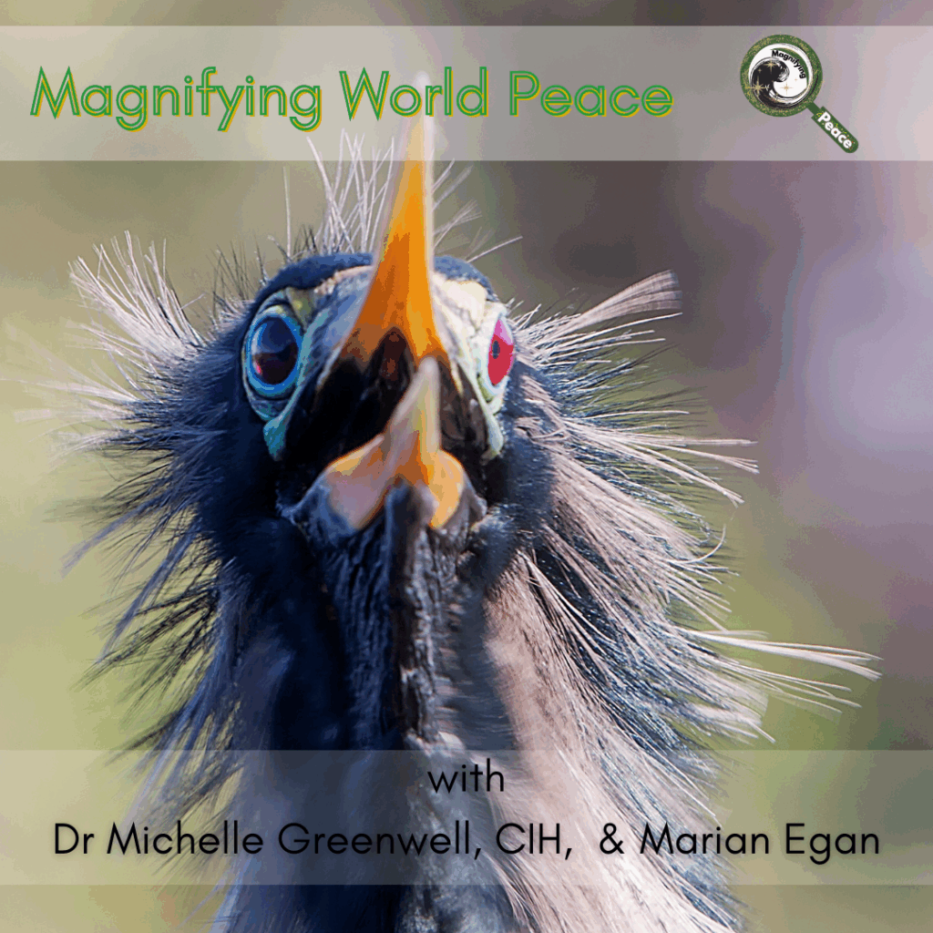 A chicken head with feathers splayed and beak open.