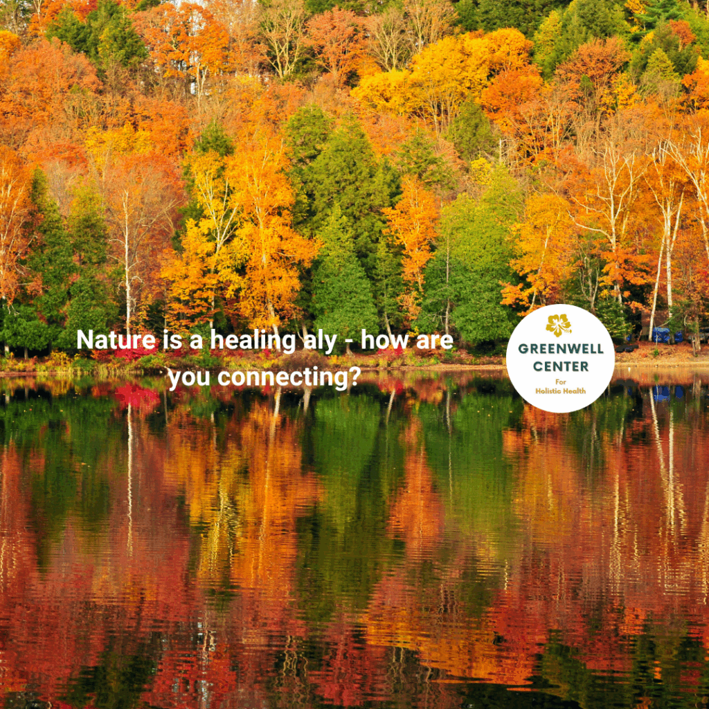 water reflecting fall leaves from a hillside