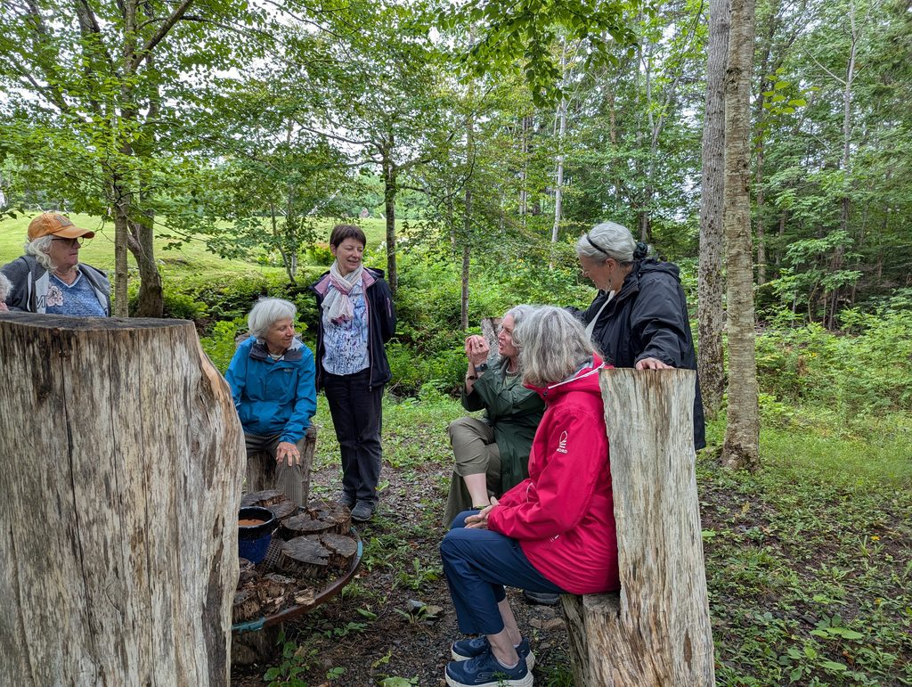 Group of people sitting on tree stump chairs sitting in a circle and talking