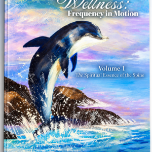 Cover of book 9 by 12 with a dolphin out of the ocean next to some rocks
